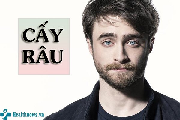 Cấy râu giá bao nhiêu? – Liệu đắt có “xắt ra miếng”