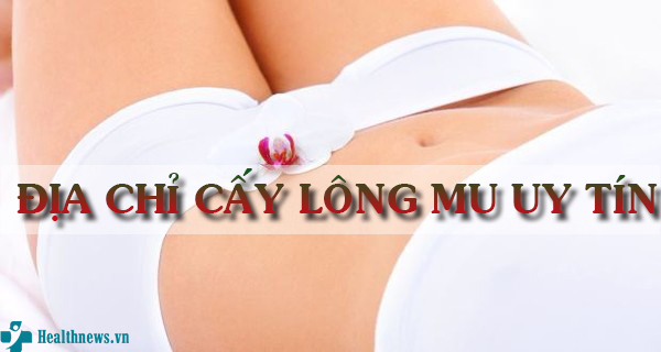 Điểm danh 3 địa chỉ cấy lông mu uy tín không thể bỏ qua