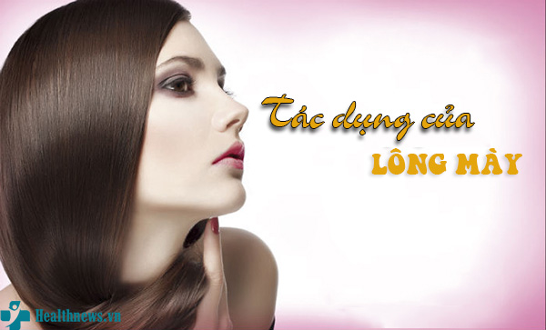 Lông mày có tác dụng gì?