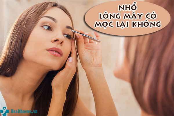 Nhổ lông mày có mọc lại không? Bí quyết giúp lông mày mau mọc trở lại