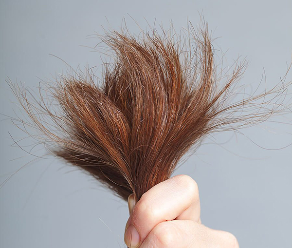 cách chữa đuôi tóc khô xơ 