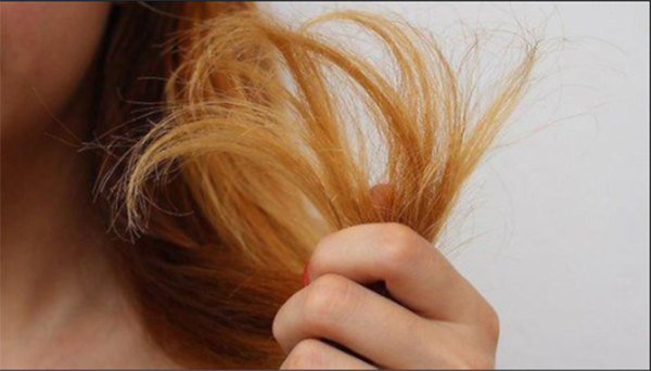 cách chữa đuôi tóc khô xơ 