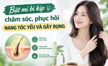 Bật mí bí kíp chăm sóc, phục hồi nang tóc yếu và gãy rụng