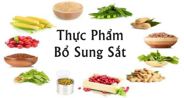 bổ sung sắt cho cơ thể