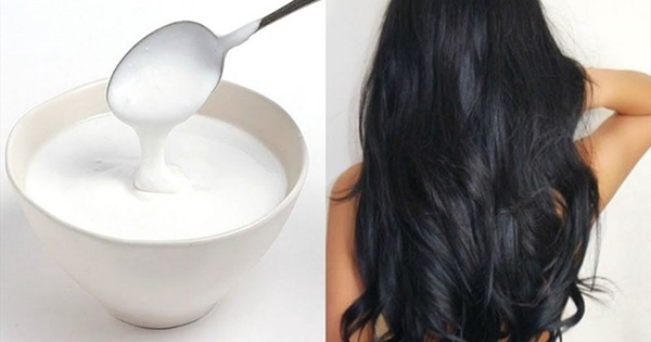 chữa tóc dầu bằng sữa chua
