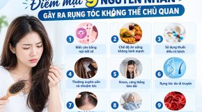 nguyên nhân gây rụng tóc