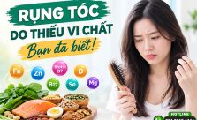 Thực hư việc rụng tóc do thiếu vi chất - Bạn đã biết!