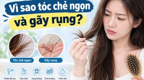 Vì sao tóc chẻ ngọn và gãy rụng? 7 nguyên nhân bạn cần biết